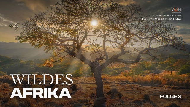 Wildes Afrika - Der graue Geist