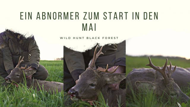 Ein Abnormer zum Start in den Mai