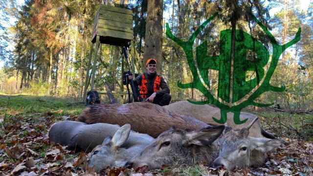 Drückjagd in Jännersdorf