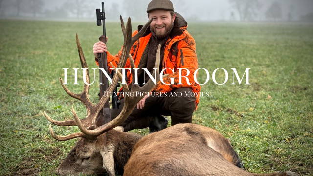 Drückjagd in Polen I Der abnorme Hirsch