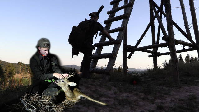 Blattjagd im großen Thüringer Wald