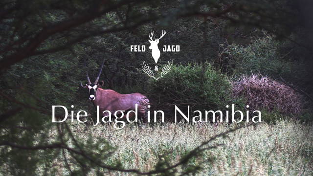 Die Jagd in Namibia