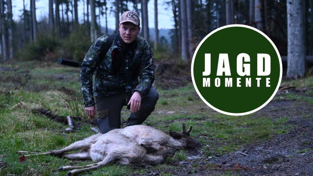 Rehdoublette im April | JagdMomente