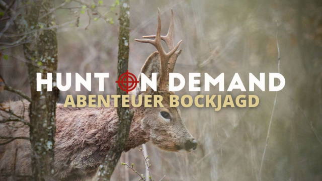Abenteuer Bockjagd 