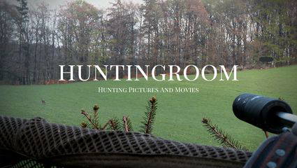 Ruhige Jagd im Huntingroom