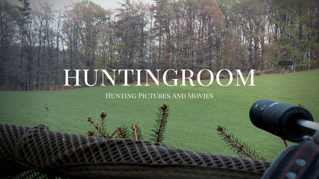 Ruhige Jagd im Huntingroom