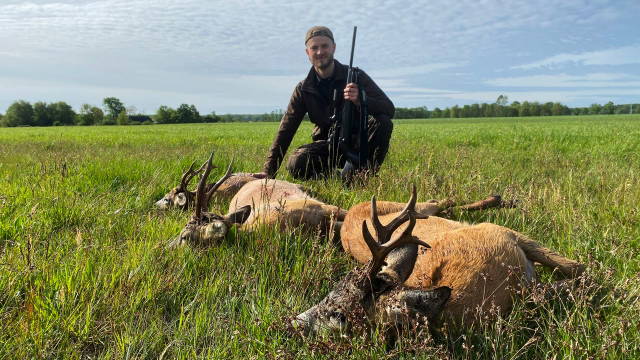 Bockjagd im Herzen von Polen | Teil 2