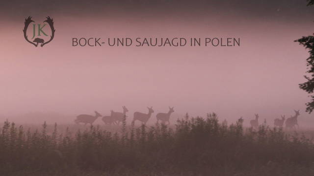 In Polen auf Bock- und Saujagd im Juli