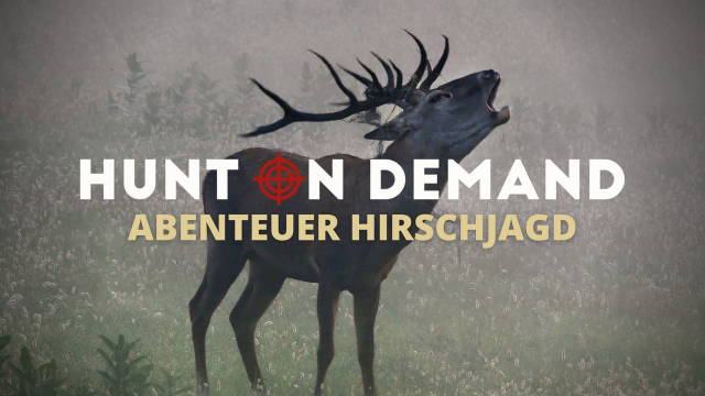 Abenteuer Hirschjagd