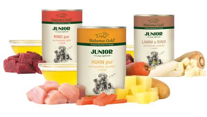 Hubertus Gold® Junior Dosen-Menü