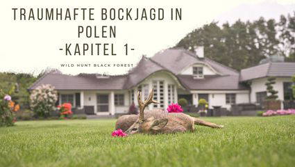 Traumhafte Bockjagd in Polen -Kapitel 1-