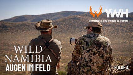 Wildes Namibia - Augen im feld