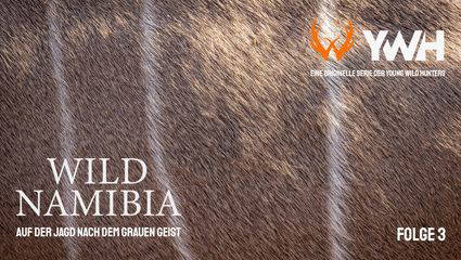Wildes Namibia - Auf der Jagd nach dem grauen Geist