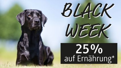 BLACK WEEK bei Hubertus Gold®
