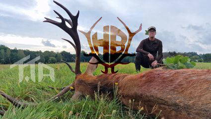 Hirschjagd mit TTA-Jagdreisen