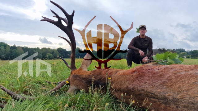Hirschjagd mit TTA-Jagdreisen