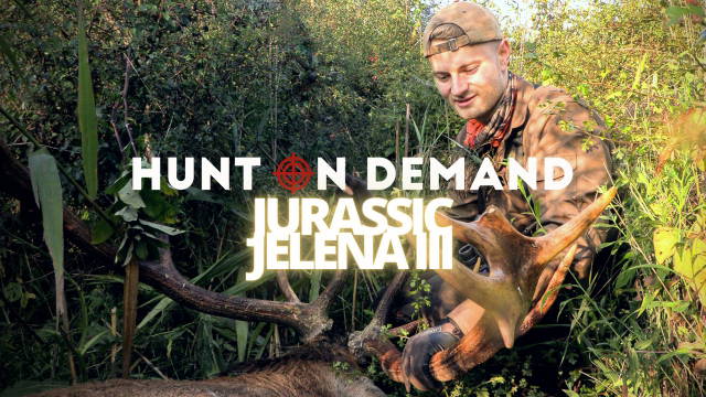 Jurassic Jelena III - Wenn Träume wahr werden - Teil 1