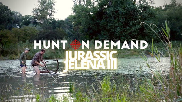 Jurassic Jelena III - Wenn Träume wahr werden - Teil 2