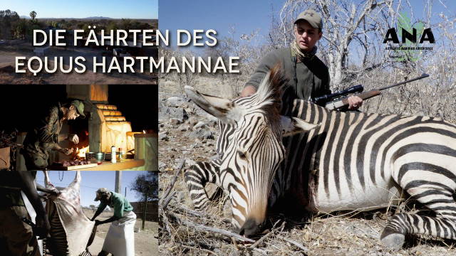 Auf Streife(n): Die Fährten des Equus Hartmannae