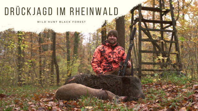 Drückjagd im Rheinwald -Wild ohne Ende-