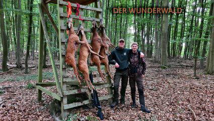 Der Wunderwald | Brüderherzen auf Jagd Staffel 4 Folge 2