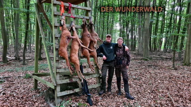Der Wunderwald | Brüderherzen auf Jagd Staffel 4 Folge 2