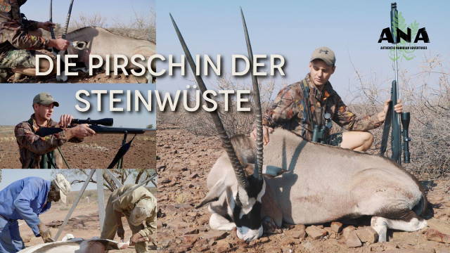 Die Pirsch in der Steinwüste