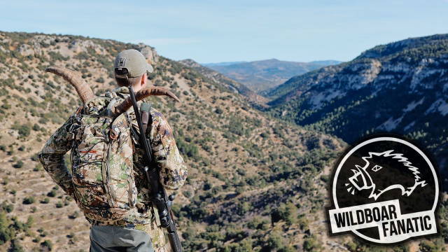 Beceite Ibex Jagd - Ein Traum wird wahr