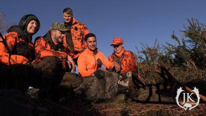 In Spanien einen Tag Drückjagd auf Keiler mit Einheimischen
