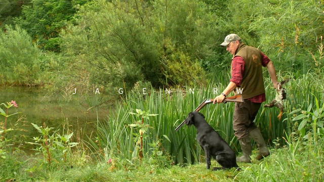 Der Weg zum Jagdhund - mit Patrick Rath