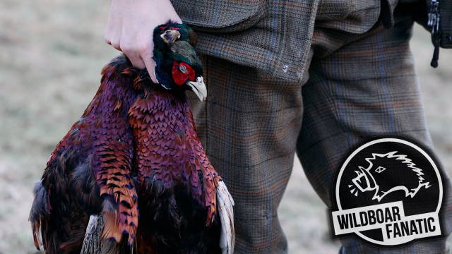 Flinten, Tweed und Federn | Fasanenjagd in England