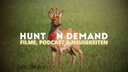 Filme, Podcast & Neuigkeiten! 5/2024