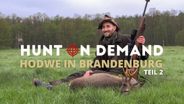 Jagdwoche in Brandenburg - HODWE Teil 2