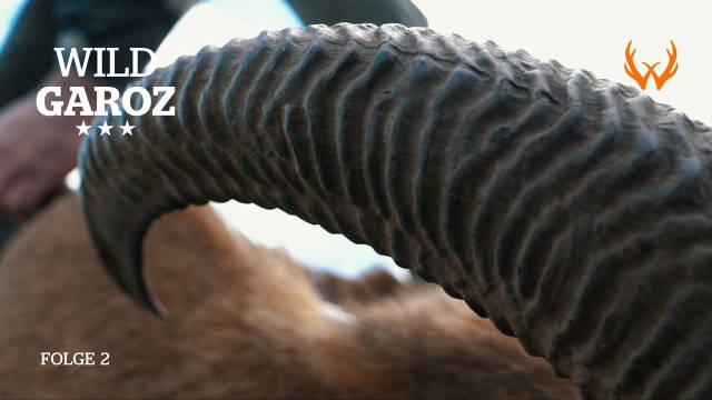 Wild Garoz: Die Bärte von Land und Meer
