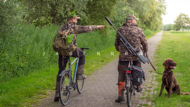 Starke Böcke zwischen den Dünen - Inseljagd auf Borkum