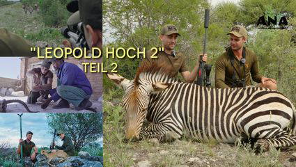 Leopold am Zebrastreifen - Leopold Hoch 2: Teil 2
