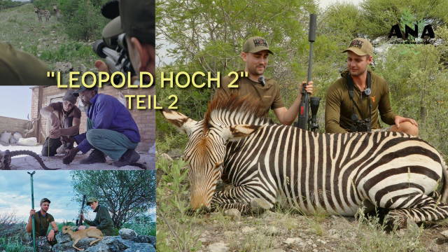 Leopold am Zebrastreifen - Leopold Hoch 2: Teil 2