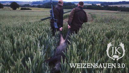Weizensauen | Chancen nutzen! 3.0