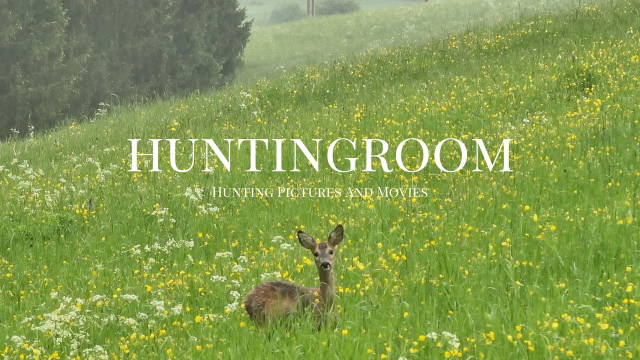 Bockjagd im Huntingroom