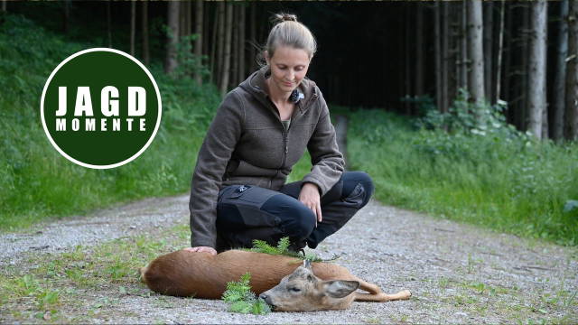 Bockjagd mit Försterin Viktoria | JagdMomente