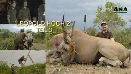 Leopold & der Busch-Koloss - Leopold Hoch 2: Teil 3