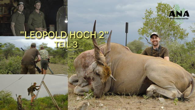 Leopold & der Busch-Koloss - Leopold Hoch 2: Teil 3