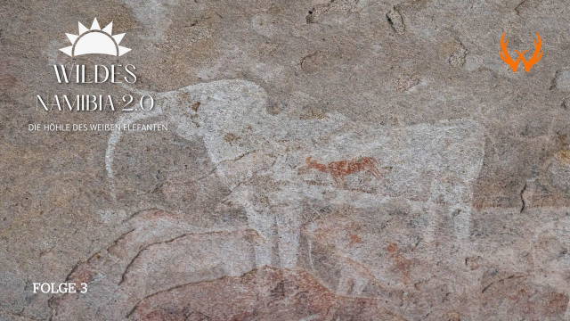 Wildes Namibia 2: Die Höhle des weißen Elefanten
