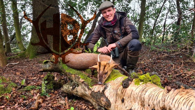 Britische Vampire - auf Muntjak und CWD in England