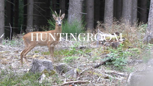 Blattzeit im Huntingroom - Die Böcke springen