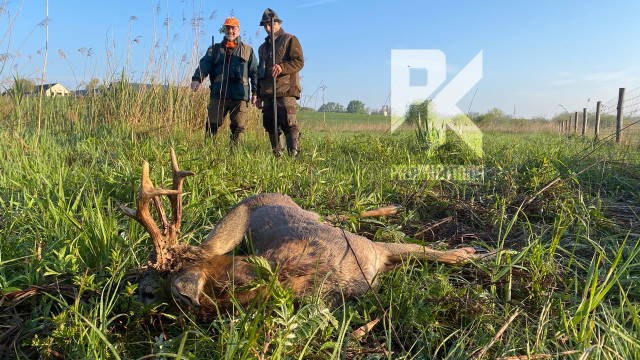 ERFOLGREICH AUF ABNORME - Rehbockjagd in Ungarn 2024 - Teil 1