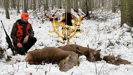 Die Schneedrückjagd