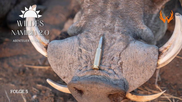 Wildes Namibia 2: Abenteuer in der Ebene