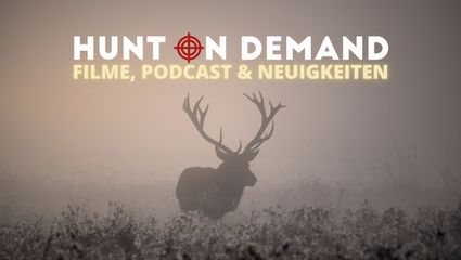 Filme, Podcast & Neuigkeiten! 9/24