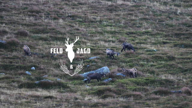 Über den Wolken - muss die Grenze das Gipfelkreuz sein - Feld und Jagd